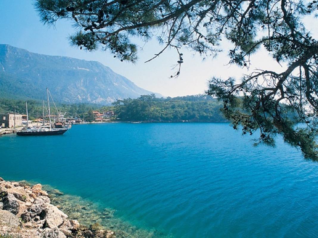 Cennet gibi yerde ekonomik çadır tatili sevenler dikkat: Akyaka Orman Kampı fiyatları değişti 2